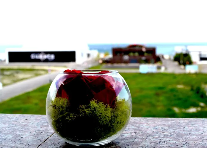 Summerland Vibe Apartment