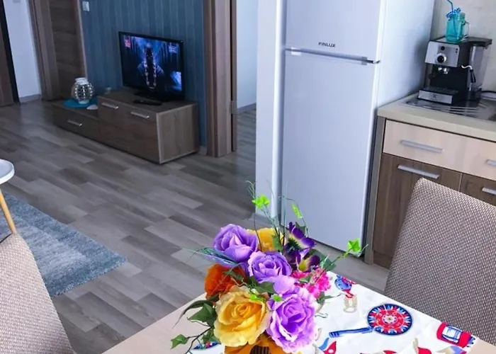 Summerland Vibe * Mamaia